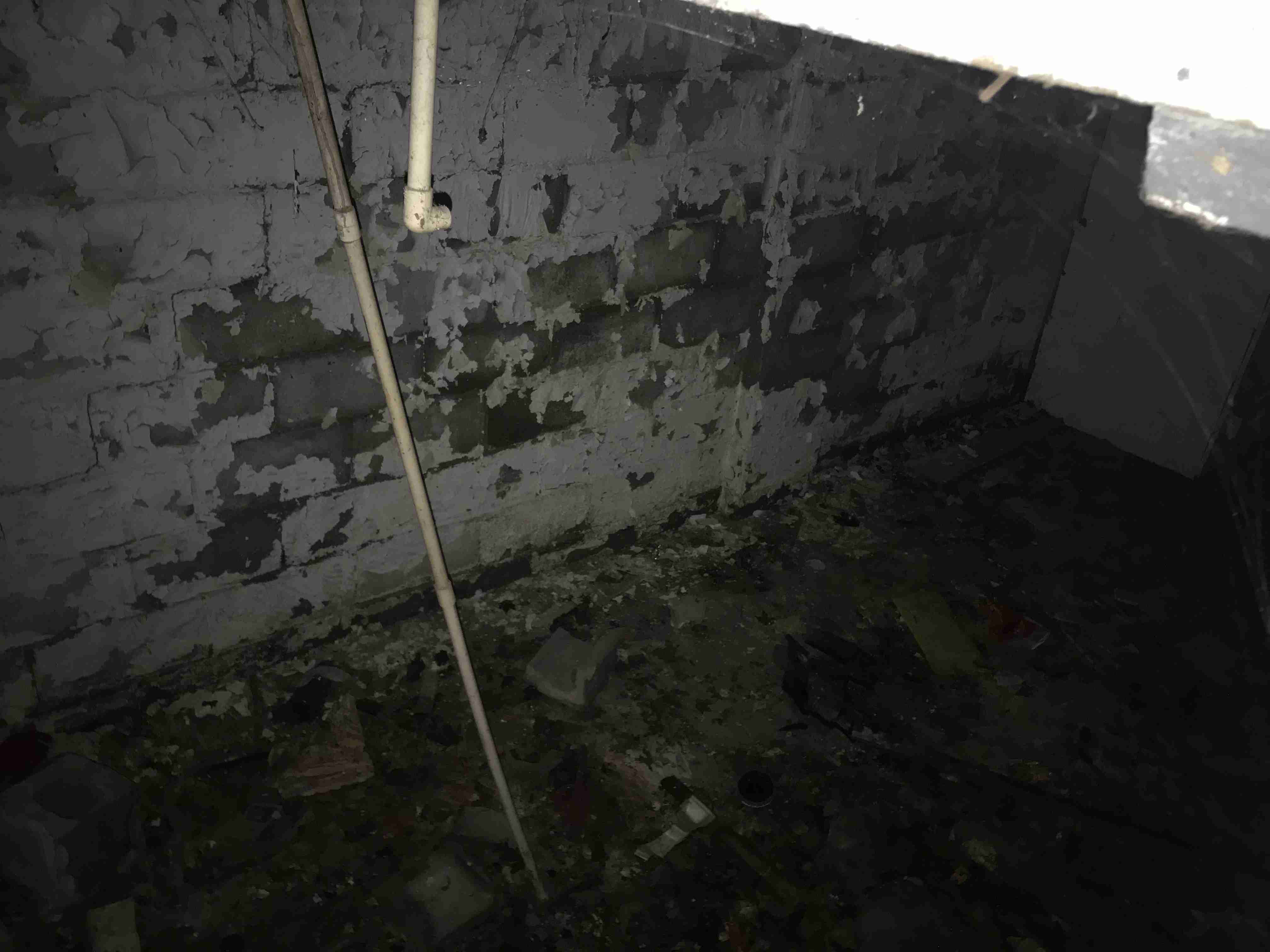 Photo Aug 21, 1 51 13 PM.jpg